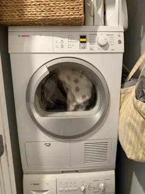 Professional installation photo