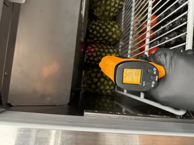 Technician using infrared thermometer to check commercial refrigerator temperature with pineapples inside