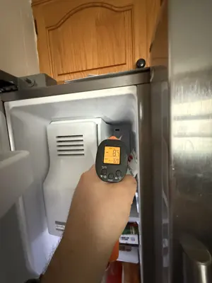 Appliance diagnostics and performance inspection