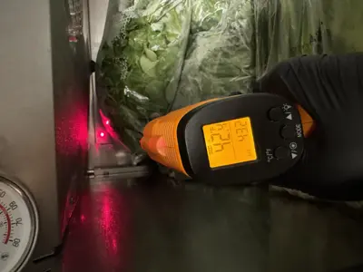 Infrared thermometer confirming 42°F temperature inside commercial refrigerator after repair in NYC