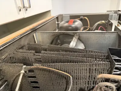 Cleaning and maintenance service