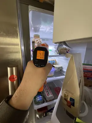 Appliance diagnostics and performance inspection