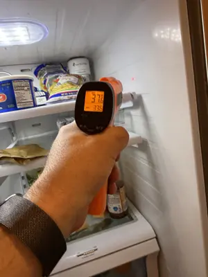 Appliance diagnostics and performance inspection