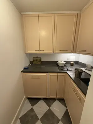 Wardrobe and closet system assembly in a NYC apartment