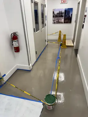 Professional interior painting — walls and trim freshly painted