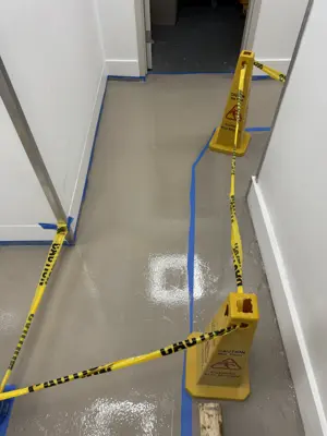 Professional interior painting — walls and trim freshly painted