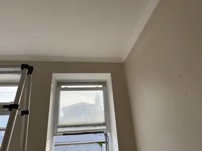 Professional interior painting — walls and trim freshly painted