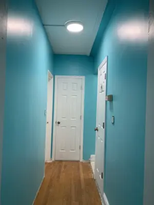 Professional interior painting — walls and trim freshly painted