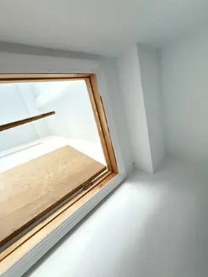 Professional interior painting — walls and trim freshly painted