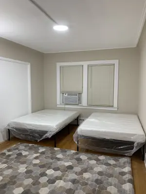 Professional interior painting — walls and trim freshly painted