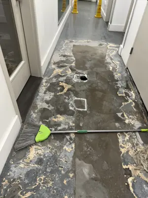 Wallpaper installation in a NYC apartment