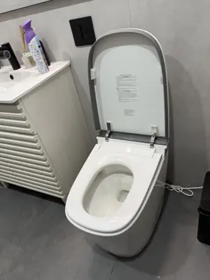 Toilet installation with wax seal and water connection