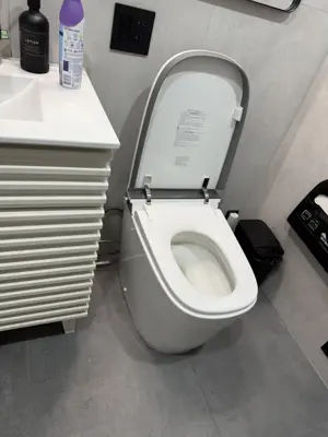 Toilet installation with wax seal and water connection