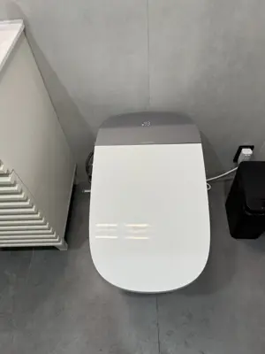 Toilet installation with wax seal and water connection