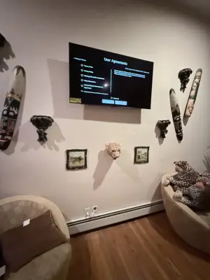 TV wall mounting — flat screen mounted with bracket and cable management